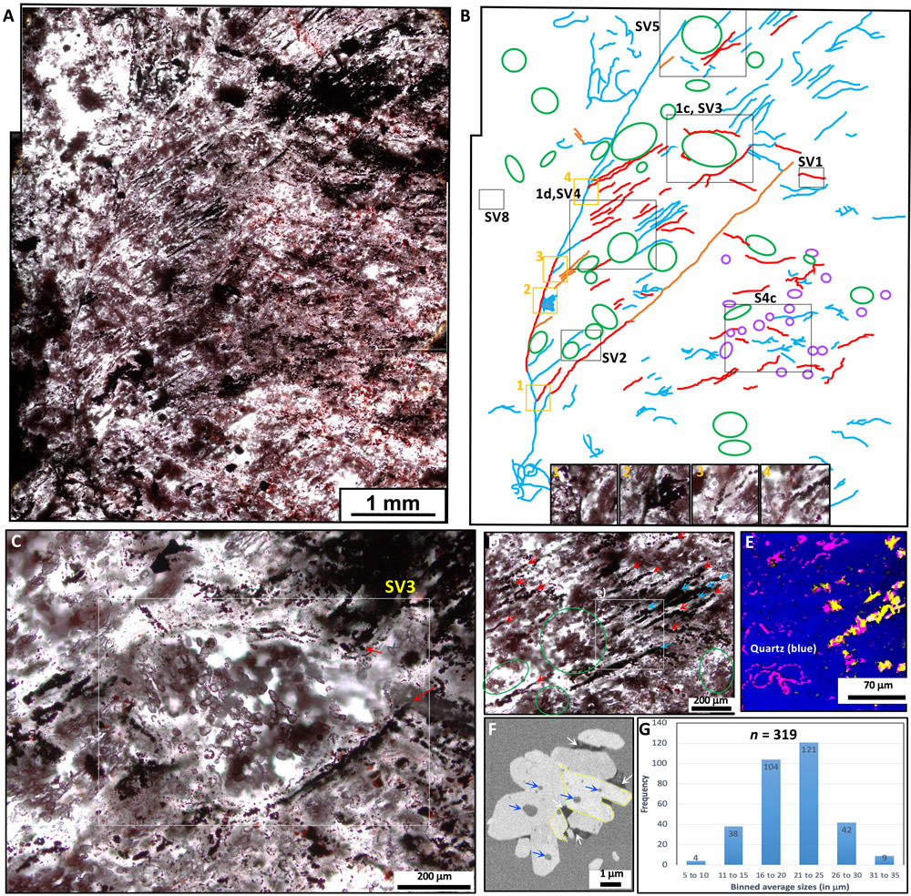 地球上的生命可能早在地球首次形成后的3亿年就开始了