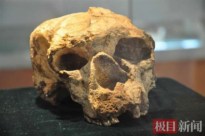 “郧县人”:改写亚洲人类起源史