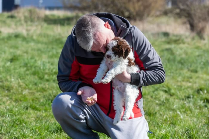 Ӣ��һֻ������������Ų¶Ȯɢ��ʱͻȻͣ�������� ����ڳ���ֵ6000Ӣ���Ľ��