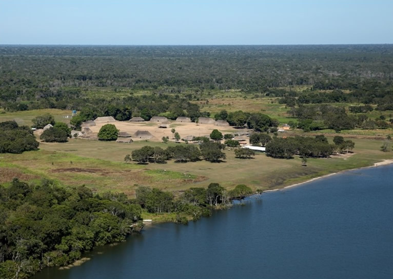 ȫɭֹ۲족ȫ2021ʧԭʼɭﵽ375 ĳλڰ