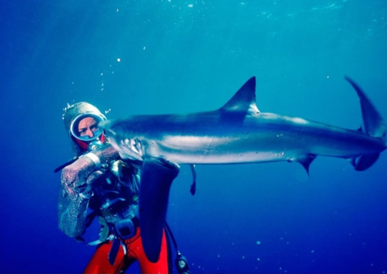 《大白鲨》加剧鲨鱼遭捕杀的情况 有份参与水底拍摄工作的夫妇数十载为保护鲨鱼奔走