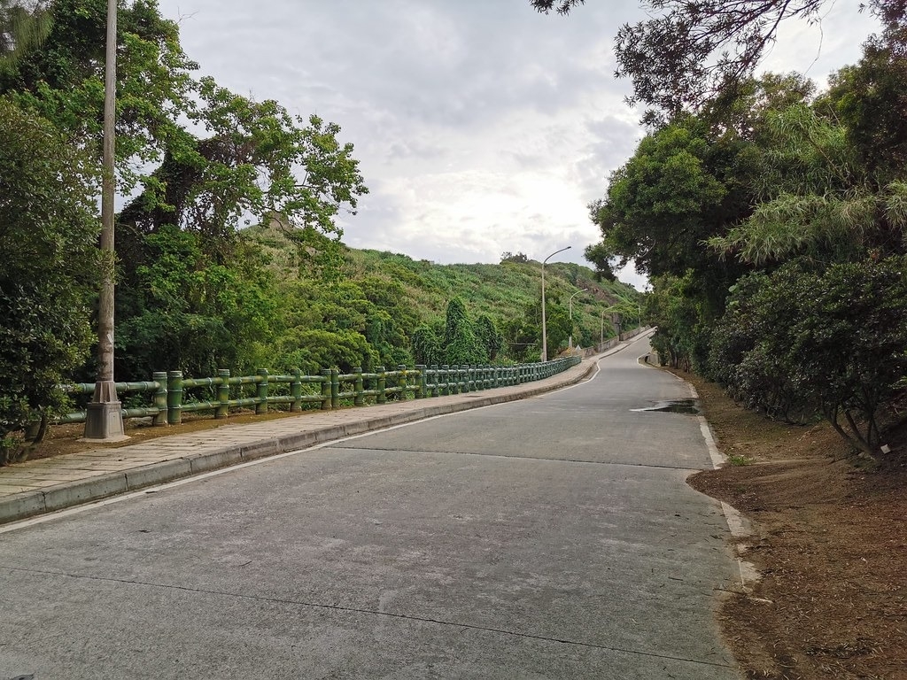 台湾保育两种特有雌光萤 马祖设野生动物保护区