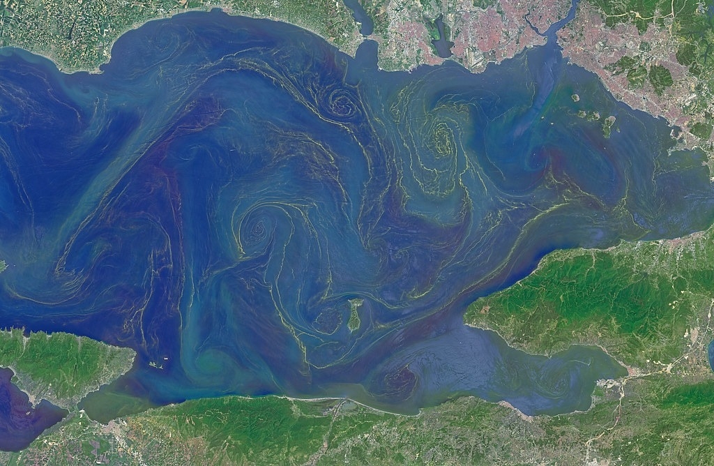 ȫůҸı亣̬ ǧصĺִ