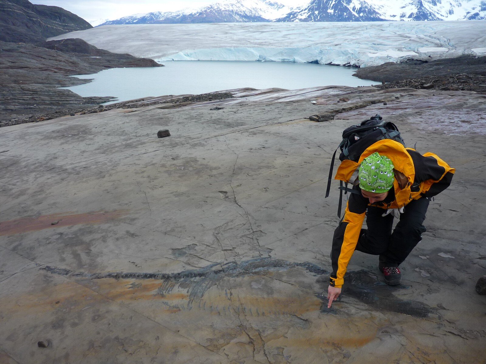 智利巴塔哥尼亚地区融化的冰川中出土本国第一具完整的鱼龙化石