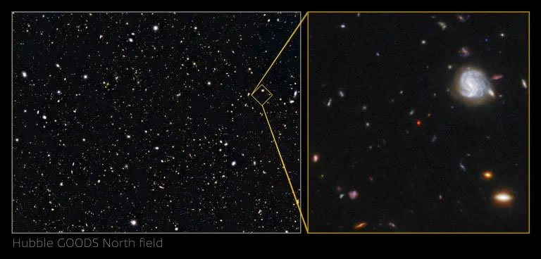 GNz7q：恒星形成的星系和最早的超大质量黑洞的出现之间的关键环节
