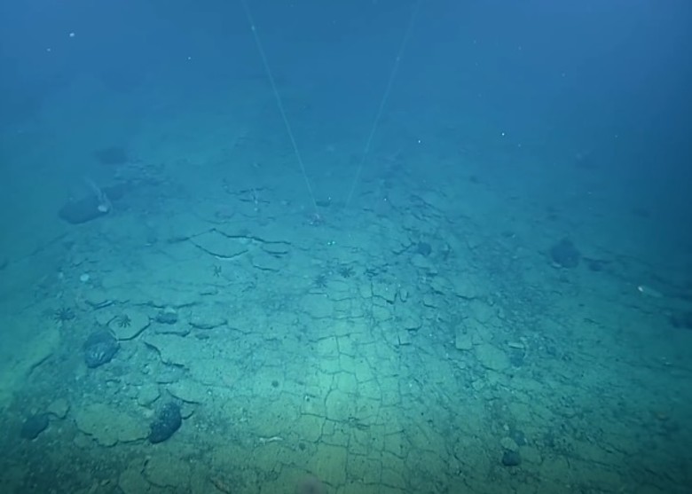 美国夏威夷深海发现通往失落之城亚特兰蒂斯的黄砖路?研究:由古代活跃火山喷发形成