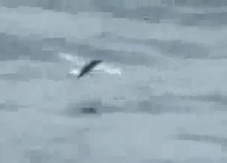 ձЭNHK̨ڶĵԾ45ļ¼Ƭ ʿ¼