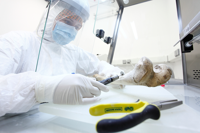 《细胞》杂志:新研究通过古DNA测序揭开更清晰的农民起源