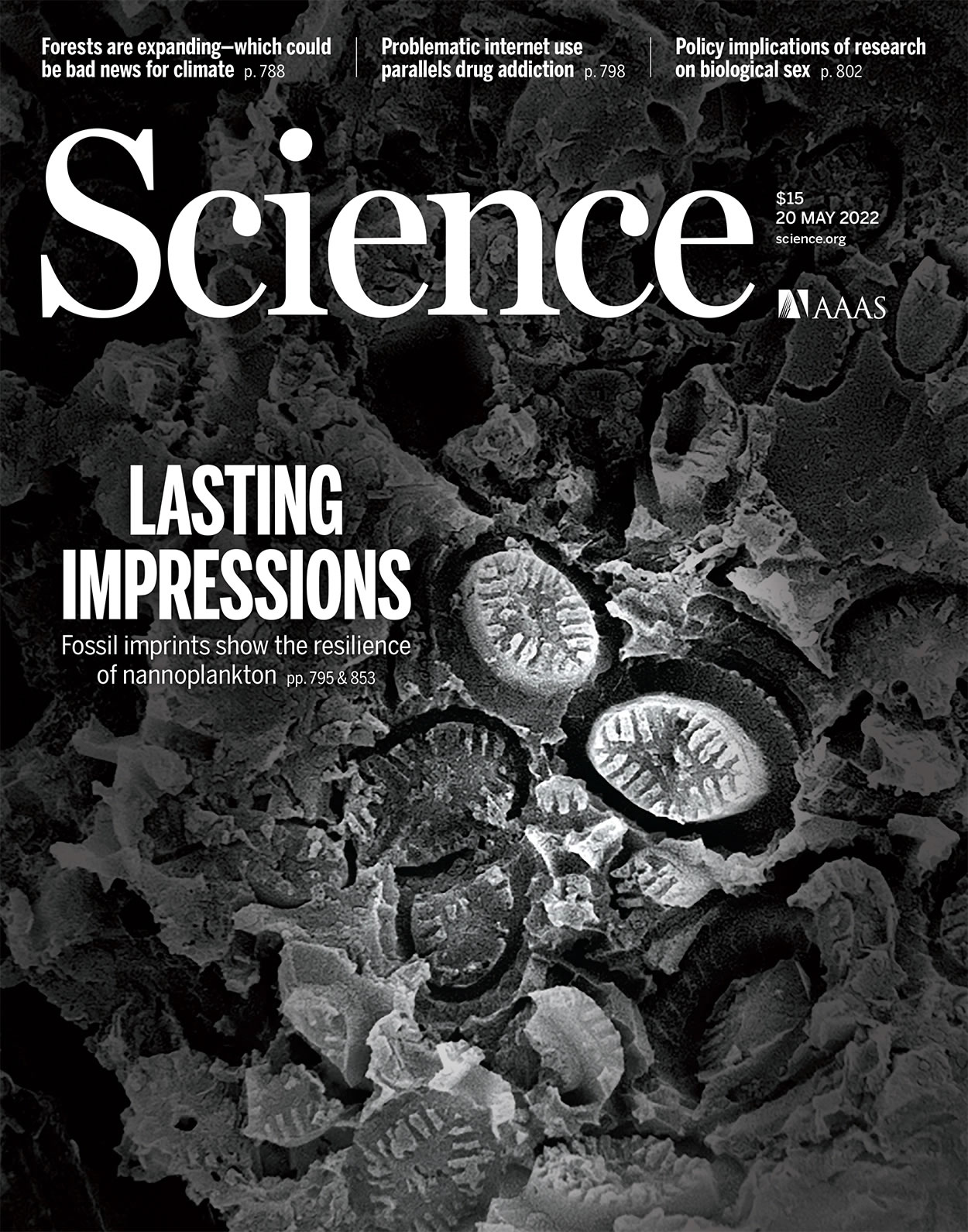 “幽灵”超微化石球石藻首次现身 微型浮游生物比认为的更能承受地球之前的海洋温暖期