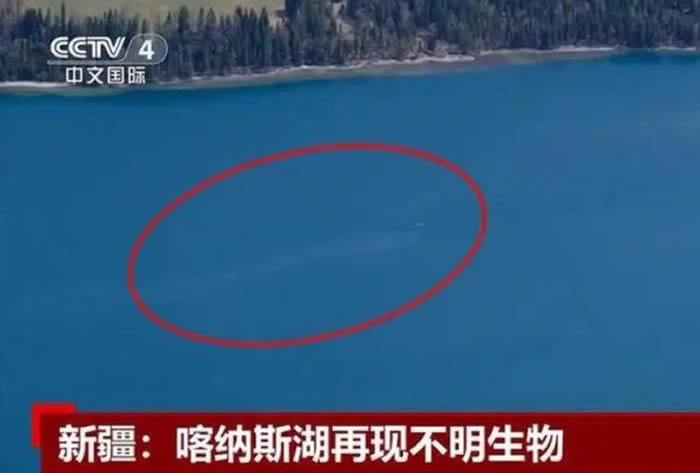 新疆喀纳斯湖“水怪”现身？巨大“不明生物”在水面游动掀起大片白色水花