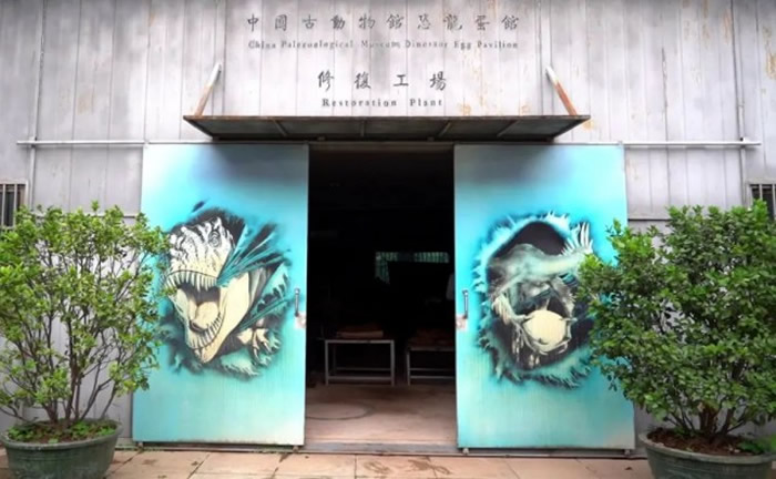 神秘的恐龙蛋修复工场揭秘