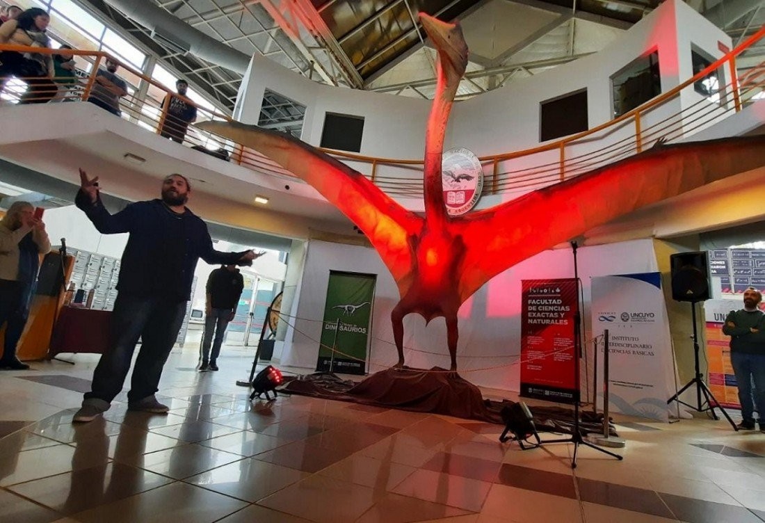 阿根廷出土8600万年前“死亡之龙” 或为南美洲最大翼龙