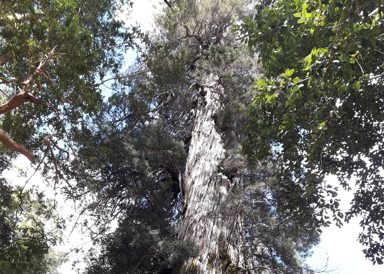 ˹޹ҹ԰һؿǵϵľ Լ5484