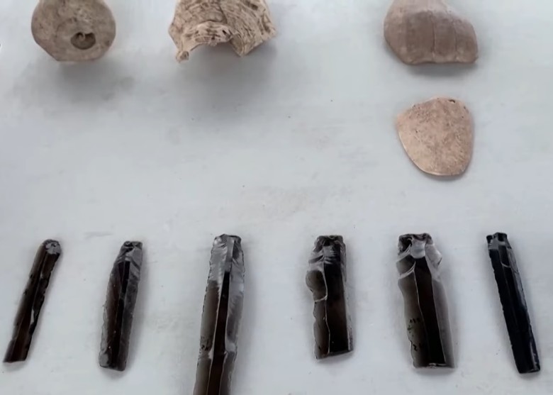 ī�����̼Ӷٰ뵺���������з������Ź������ĳ�����ַ