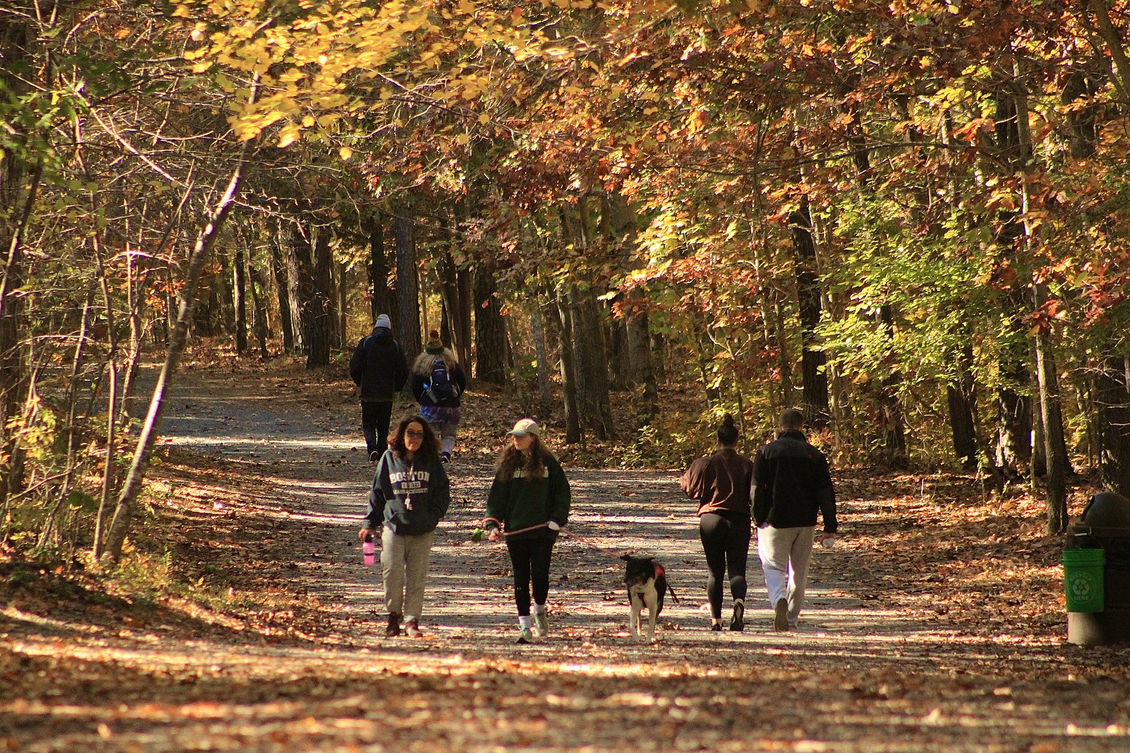 50岁以上的人定期散步可以减少疼痛 还可能减缓关节中发生的损伤