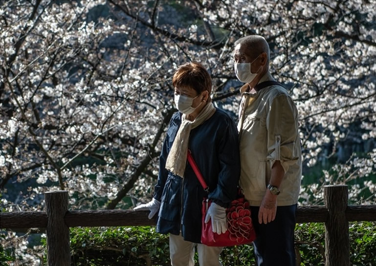 оּʹ̤5080 ֻҪܹϰ߶ӳЧ