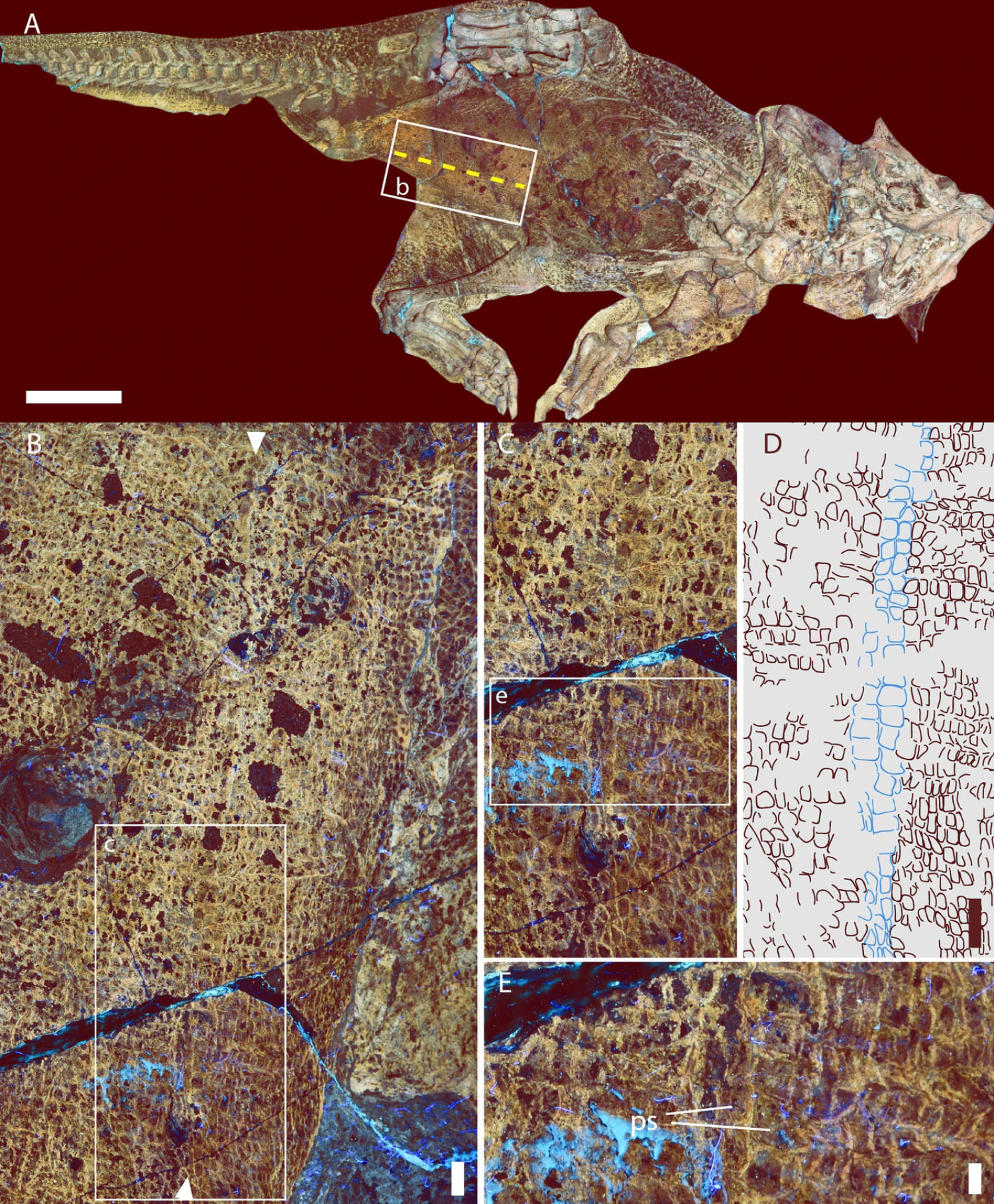 1.3����ǰ�������й��Ĳ�ʳ�Կ����������������С����ꡱ