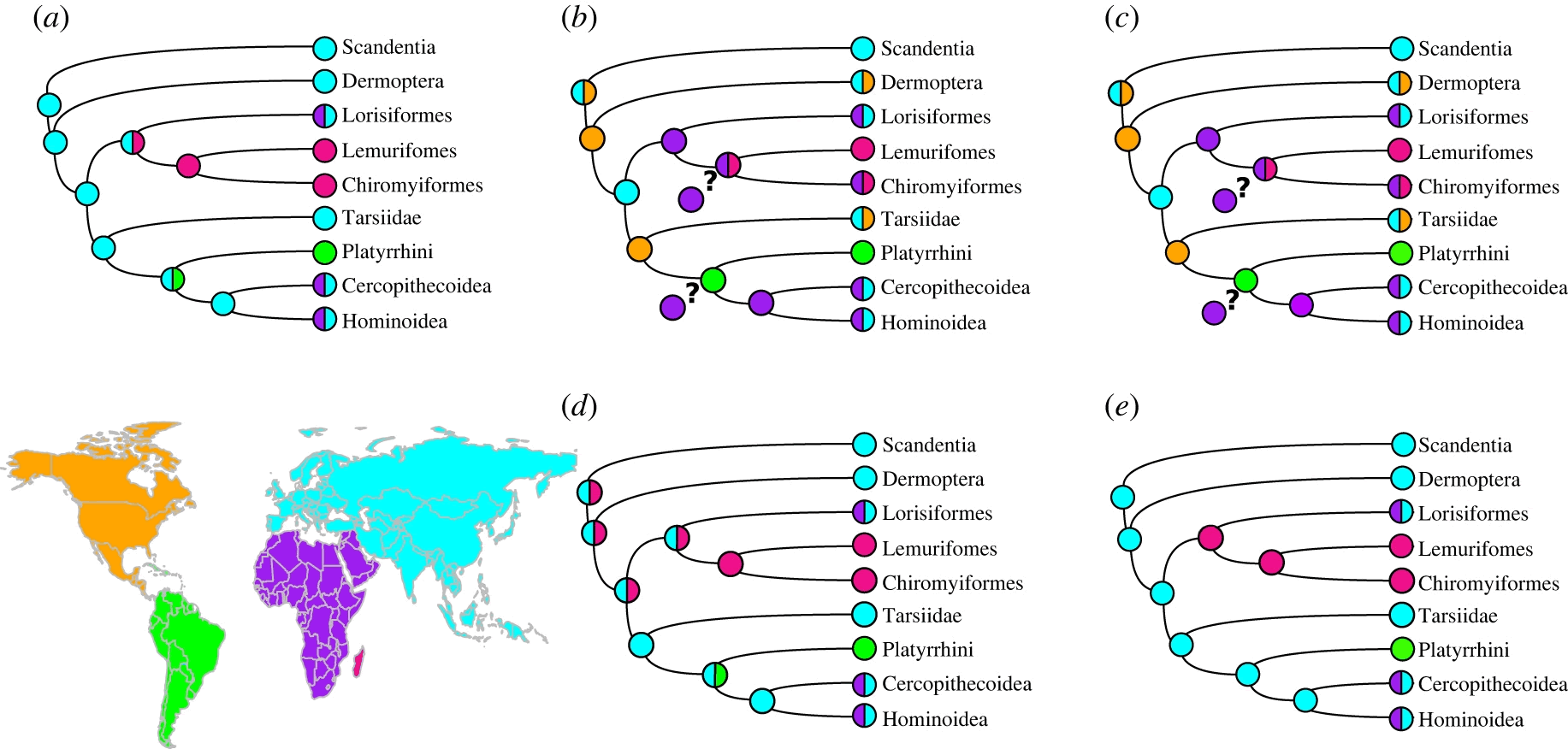 研究人员绘制有史以来最大和最全面的灵长类动物“家族树” 包括现存和已灭绝的物种