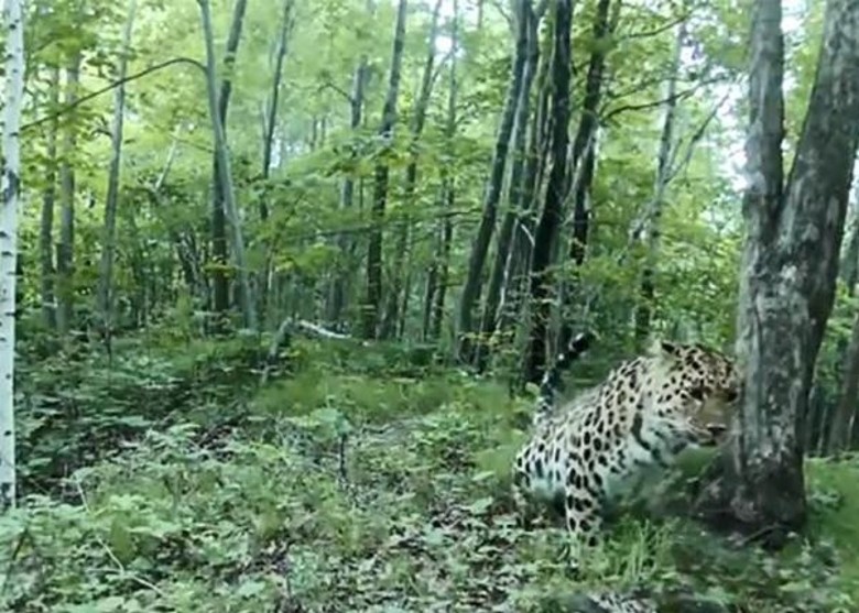 ������ʡĵ�����ж����������ҹ�԰7���ĵö������ټ�