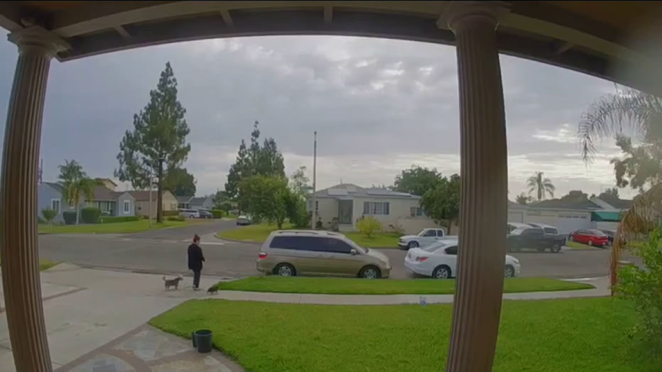 美国加州女子带宠物狗散步时突然被一道闪电劈中 1人2狗当场死亡