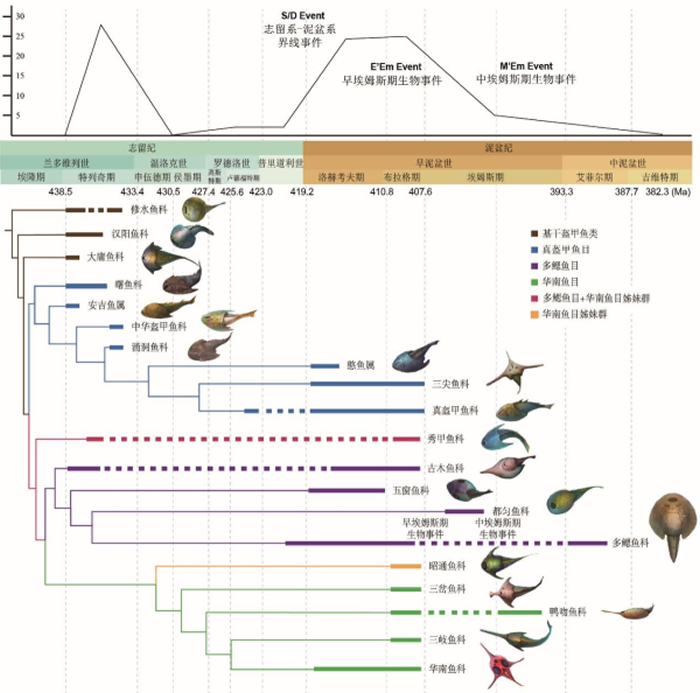 ���ϳ��������������״η���3.9����ǰ���������������ࡪ��������