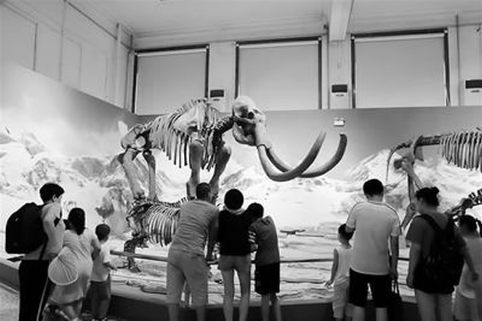 泥河湾古生物群(复原)