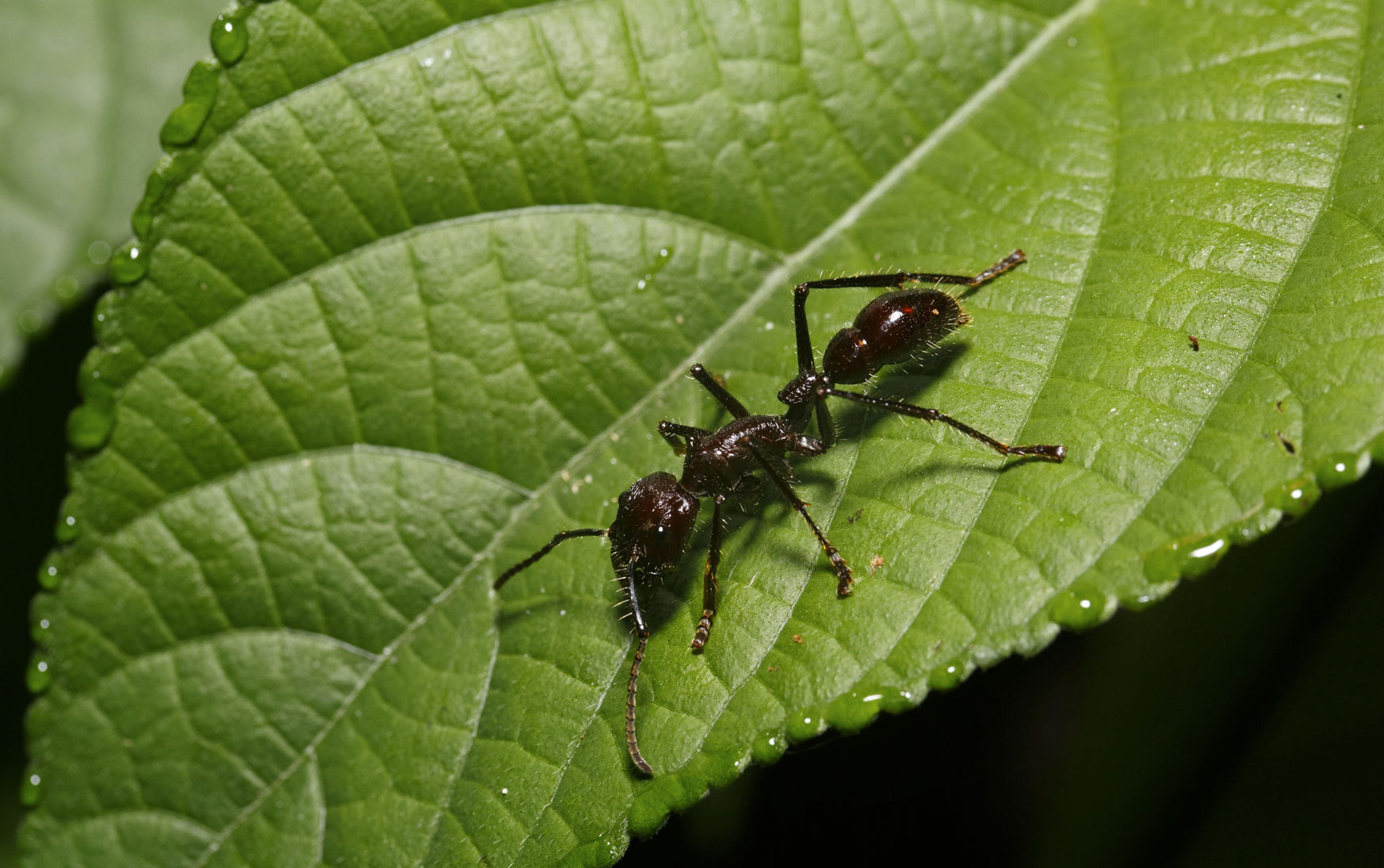 ����ѷ���ӵ��Ͽ�������ӵ����������ʹ��Ĵ�ʹ