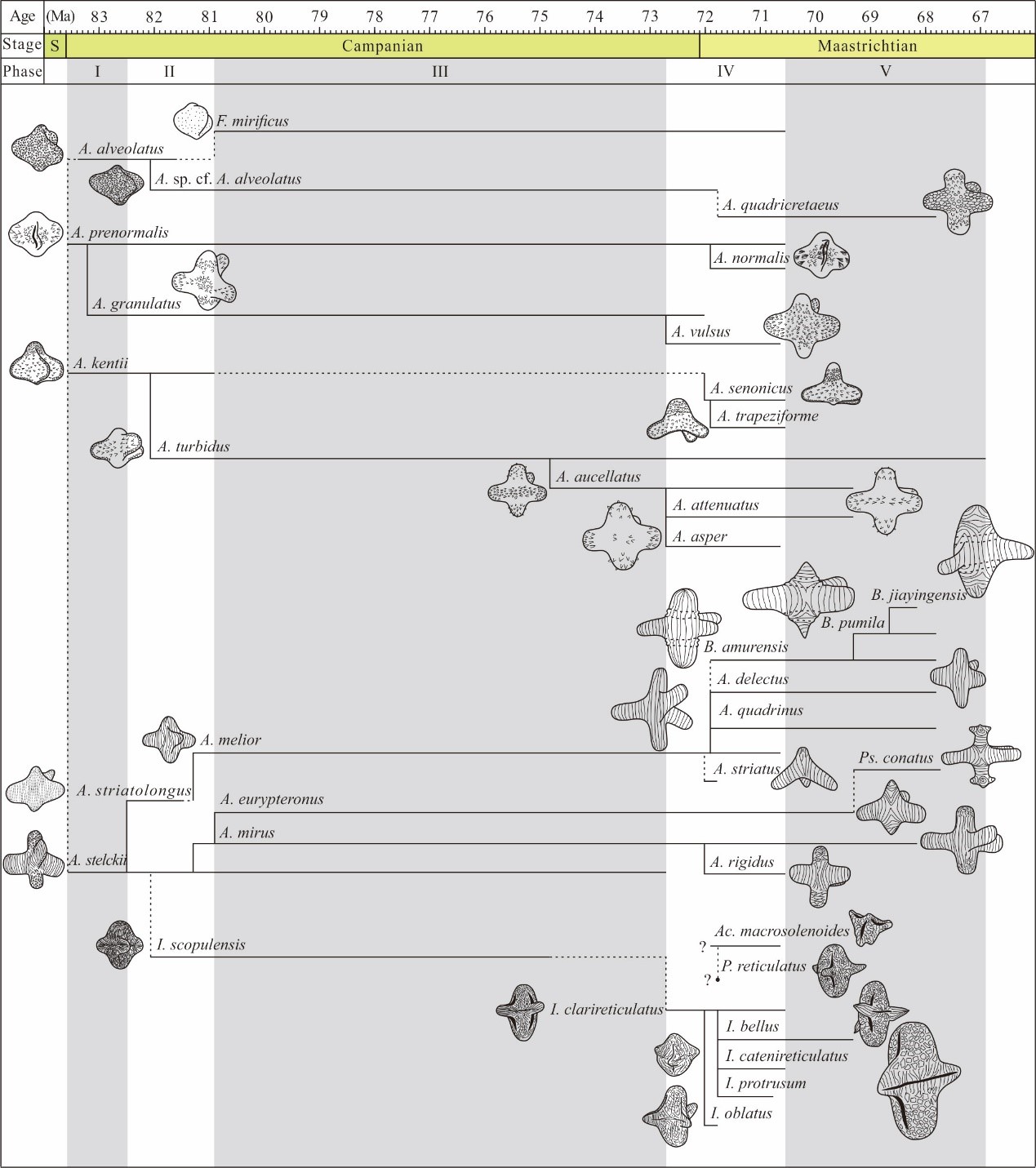 Ѽоͻ໨оȡϵͳԽչ