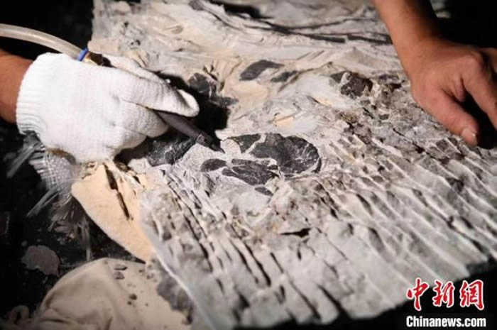 ޸װܵĺϴϪʯ ɶѧͼ