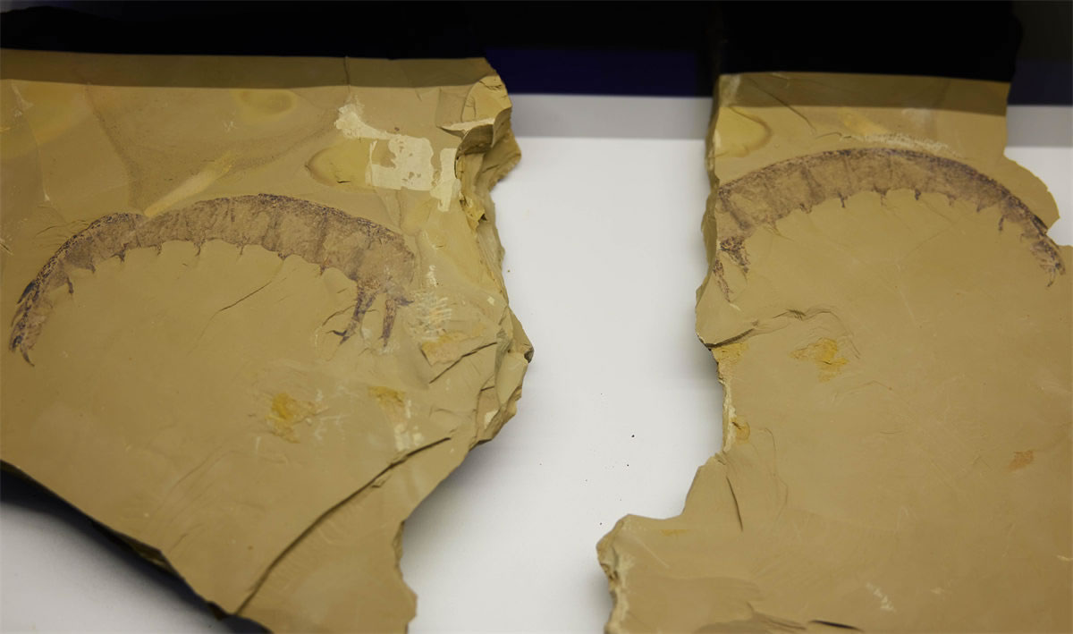 �ν�����Ⱥ����������͵��Ҳ�