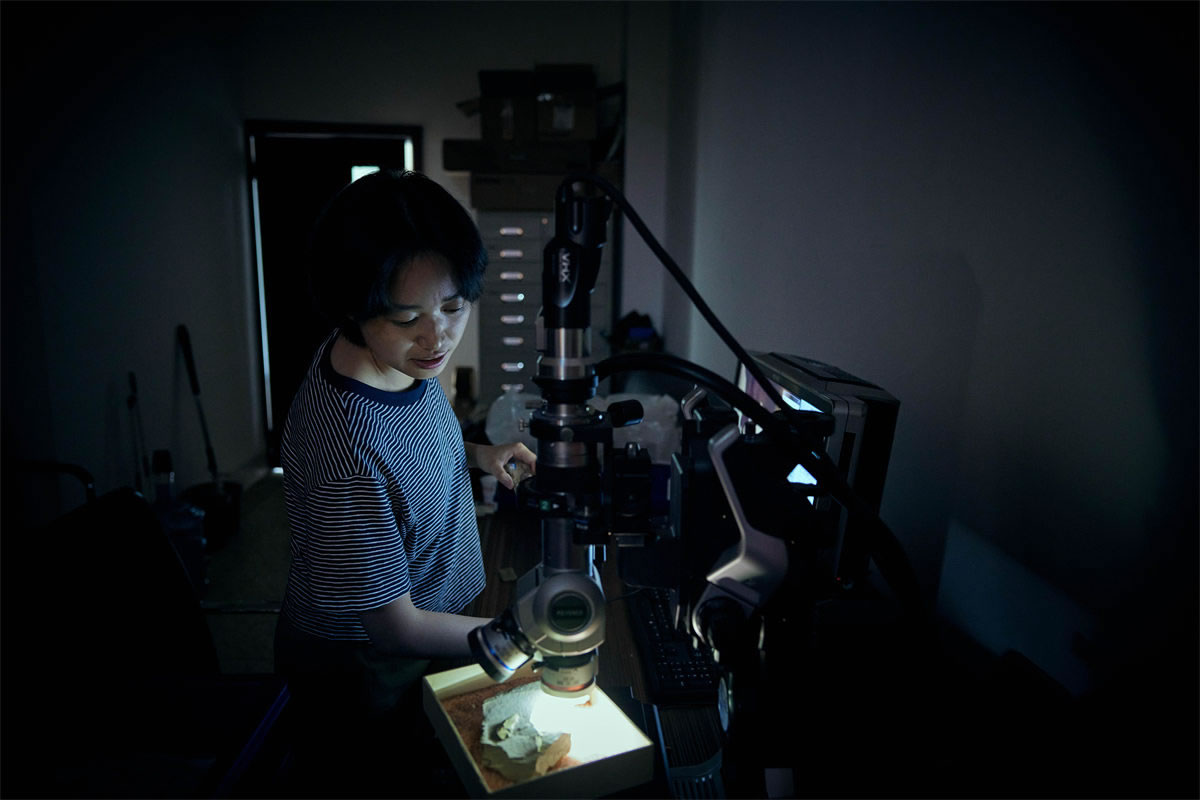 �ν�����Ⱥ����������͵��Ҳ�