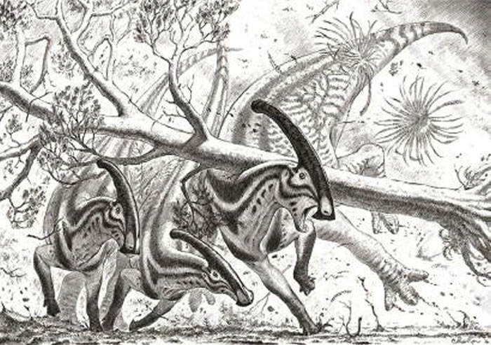 一次感冒就会致命?如果恐龙时代有医院,这些科室最“抢手”