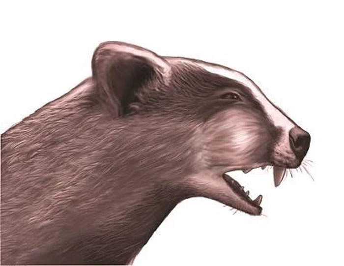 一次感冒就会致命?如果恐龙时代有医院,这些科室最“抢手”