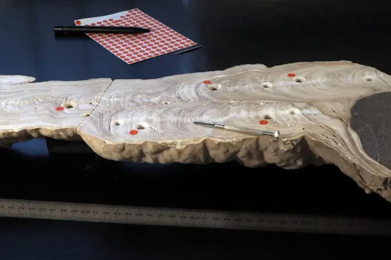 ���ȵĸɺ���ʹ���ϵ��ϰ���������ϣ�������طֱ�����