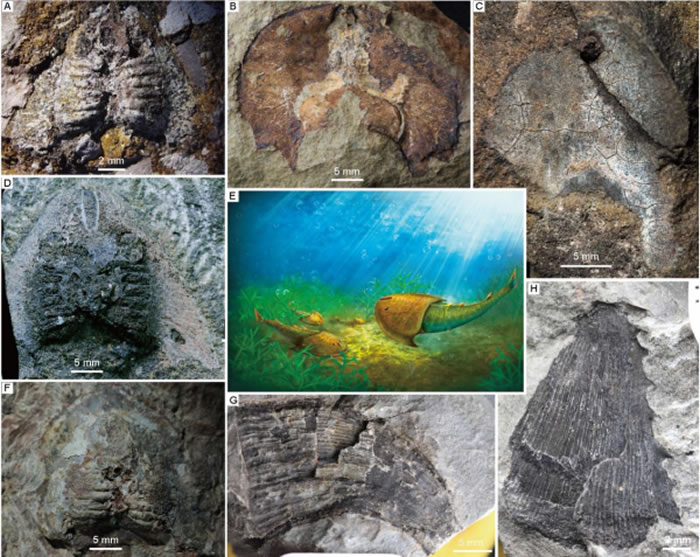 ໯ʯ֤ӡ֤4.38ǰҹڹź󡪡Ӻ