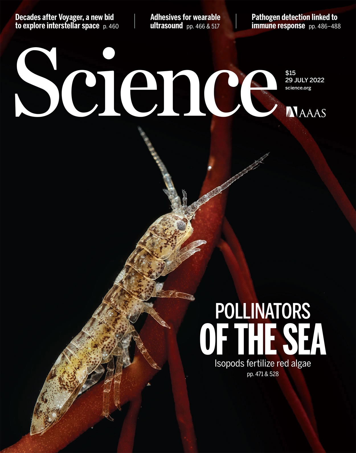 һ��С�ͺ�������ද����ڸ���ɫ�����ܾ�������������