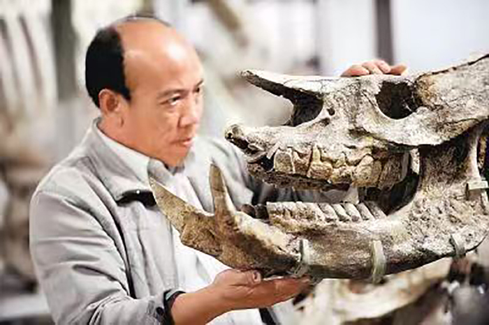 ���ǳ����ݣ����������ˡ�����������ػ�ʯ������������