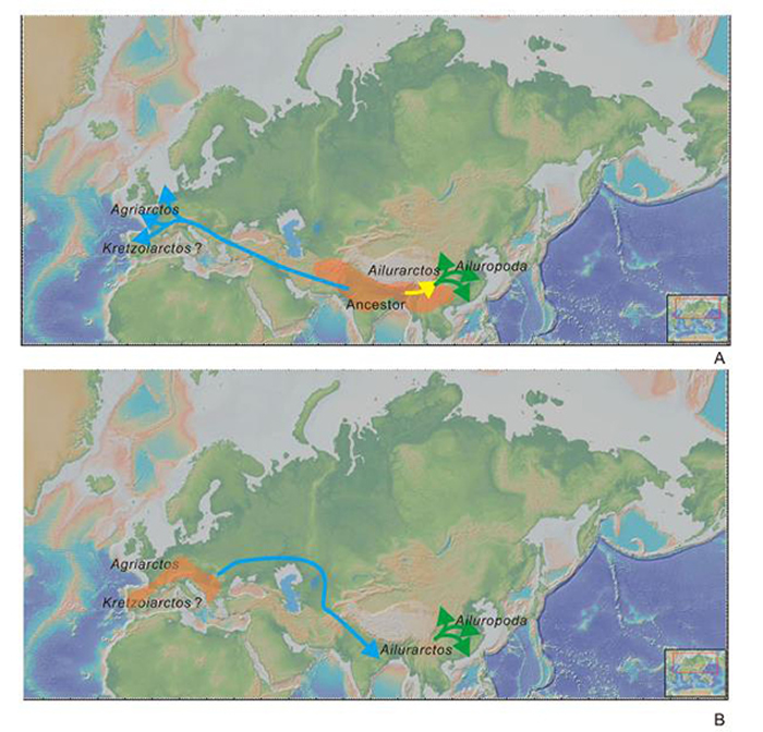保加利亚发现史前大熊猫——尼氏郊熊猫揭示大熊猫的早期演化和迁徙