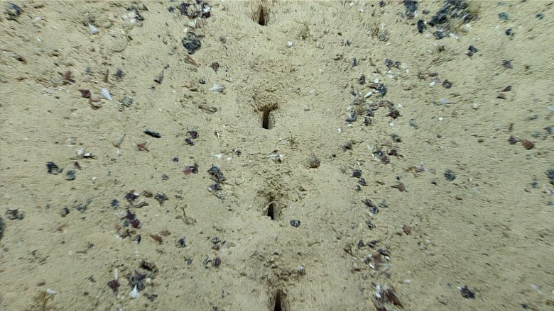 外星人遗迹？大西洋海底发现神秘孔洞排列 成因众说纷纭