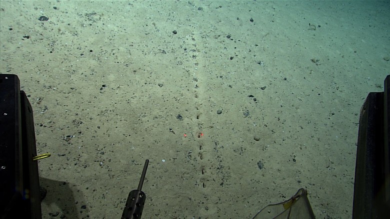外星人遗迹？大西洋海底发现神秘孔洞排列 成因众说纷纭