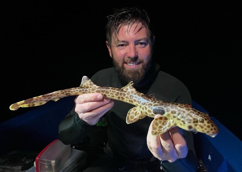 ��������ѧ���ڰͲ����¼��������ⷢ�ֺ���½�����ߵļ�����