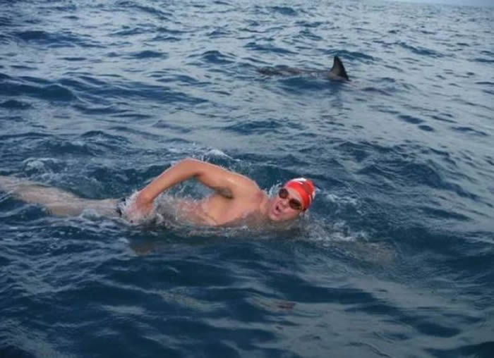 英国游泳选手在新西兰海域碰上大白鲨追击 一群海豚突然现身筑起保护墙