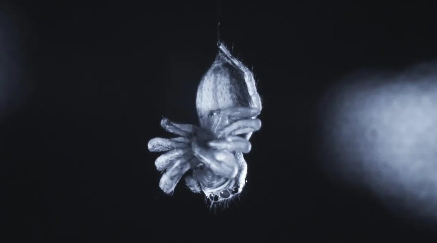 ����������ƿ����۶���˯�� ���ǿ���������