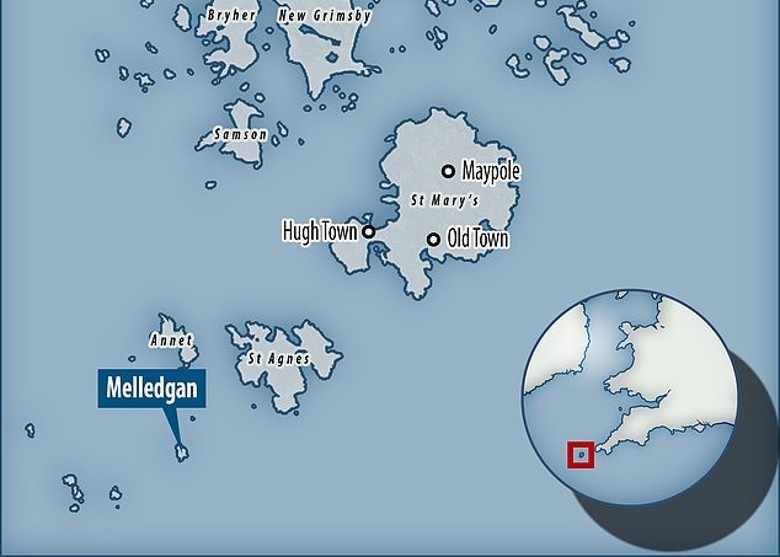 多色海兔首次被确认现身英国水域 从西班牙海域远渡而来