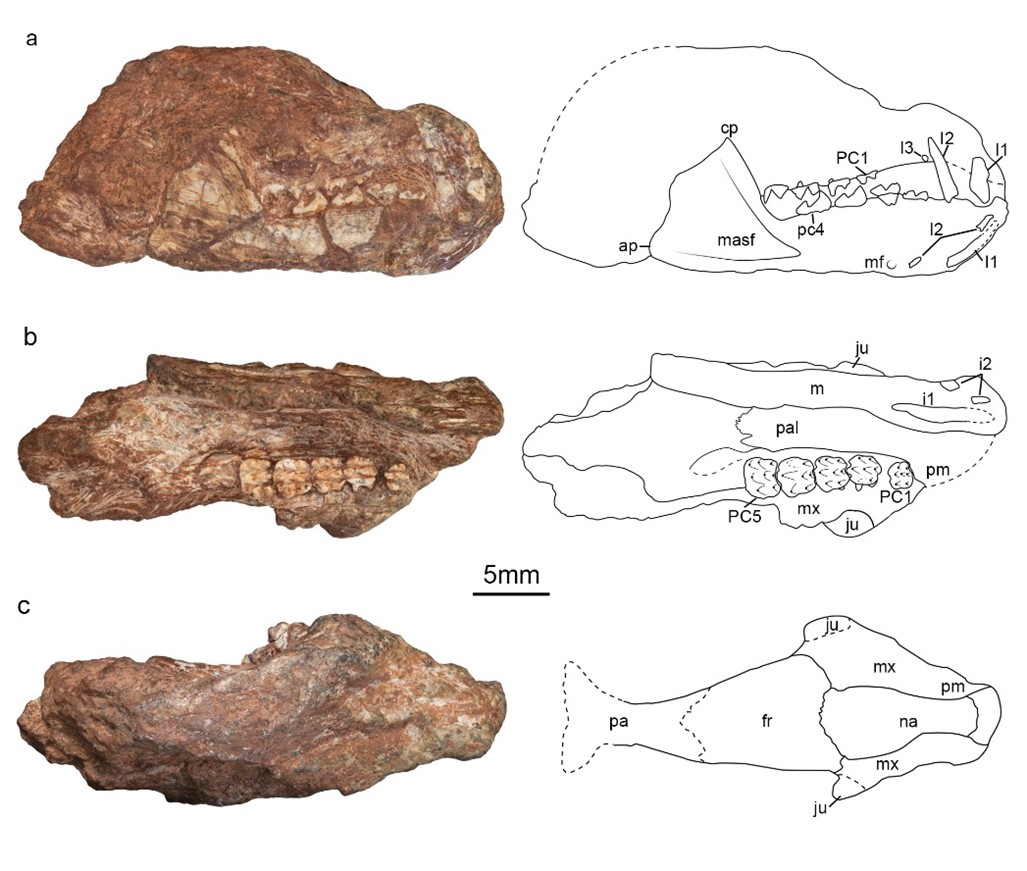 ���ϴ�ѧ�о����ִ�ǰ�����ġ����ǵ����ޡ��͡�С�����ޡ�������»����ʵΪͬһ����