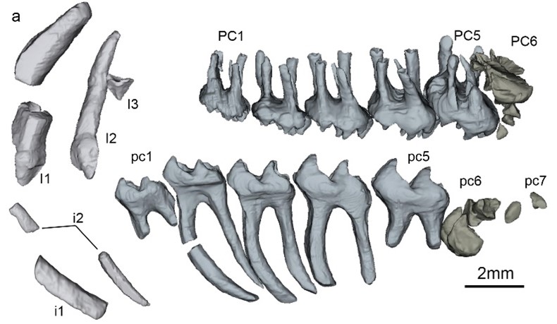 ���ϴ�ѧ�о����ִ�ǰ�����ġ����ǵ����ޡ��͡�С�����ޡ�������»����ʵΪͬһ����