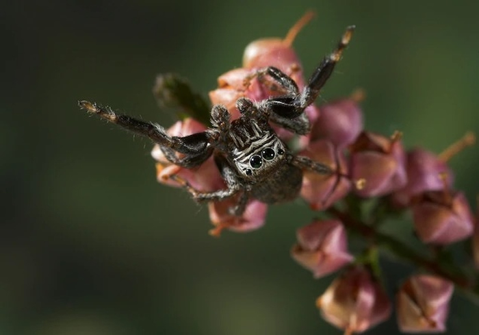 ֩������������о���Ϊȷʵ��