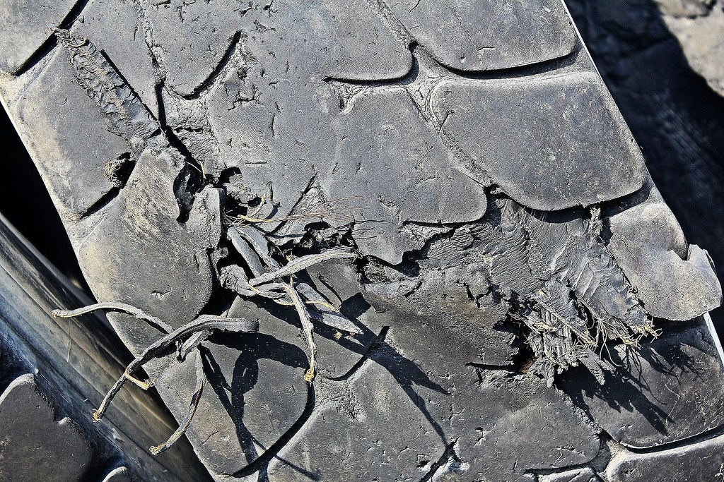 从太平洋返回溪流产卵的银鲑大量死亡的原因揭开：汽车轮胎产生的许多塑料微粒