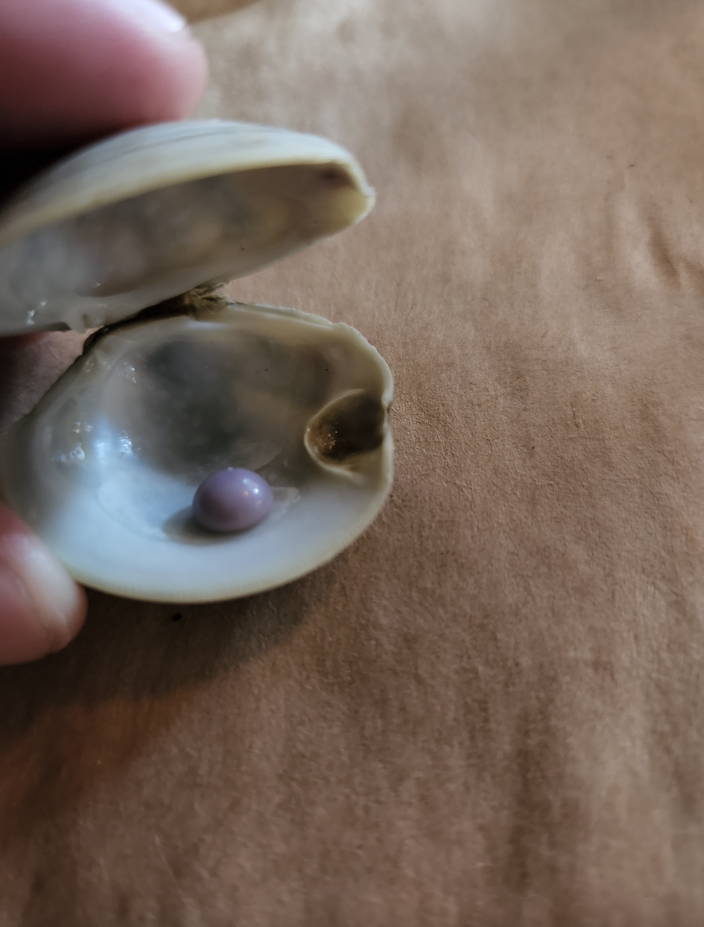 ���������������ӳԷ�����һ��14��Ԫ��θ�� �Ե���ɫ����