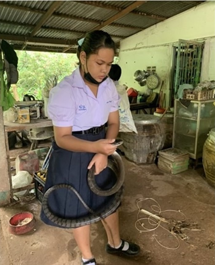 泰国巴吞他尼府女中学生当义工徒手捉蛇 网上爆红